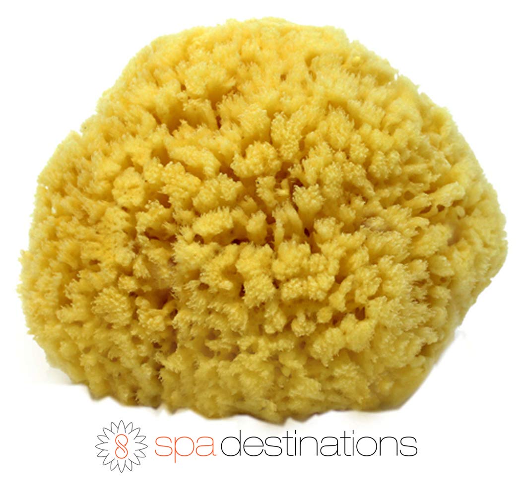 Spa DestinationsNatural Sea Sponge - 4-5in