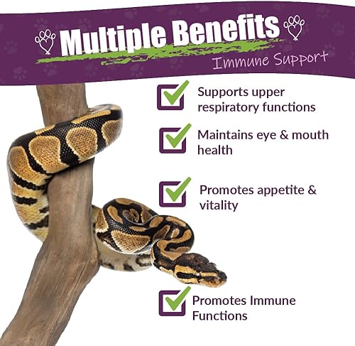 AMBER NATURALZ Reptaid XL Herbal Supplement for Large Reptiles | Herbal Pet Supplement for Immune Support | for Reptiles Above 250g | 1 Fluid Ounce Glass Bottle | Manufactured in The USA(Over 250 grams)