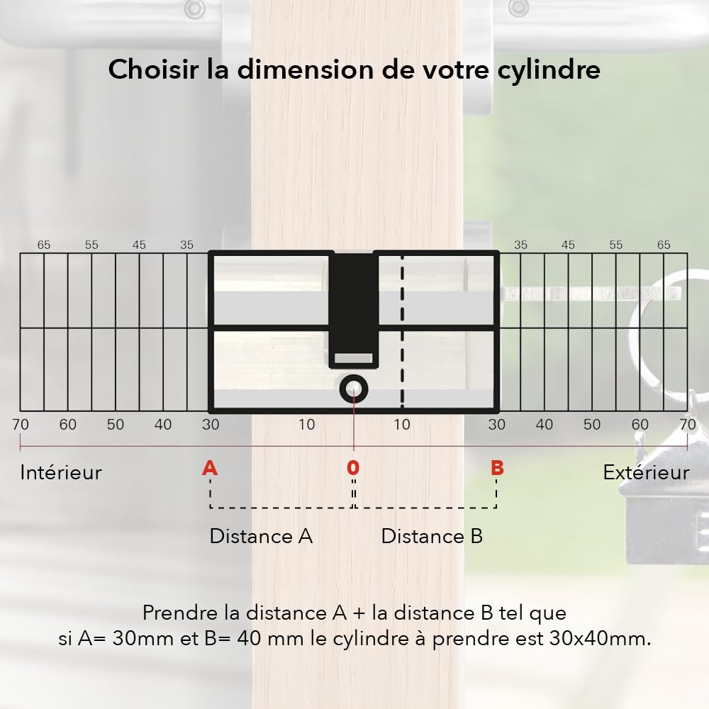 THIRARD Cylindre de serrure à bouton T2, anti-effraction, 40B x 30 mm | Finition nickel, 5 clés fournies, bouton intérieur, usage résidentiel, haute sécurité, installation facile, standard européen