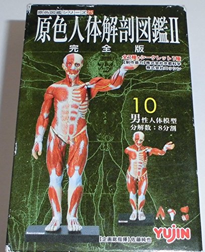 【コレいい値！】原色人体解剖図鑑Ⅱ完全版 フルコンプリート〈全8種〉 Amazon | 原色シリーズ25 原色人体解剖図鑑Ⅱ 完全版 人体骨格