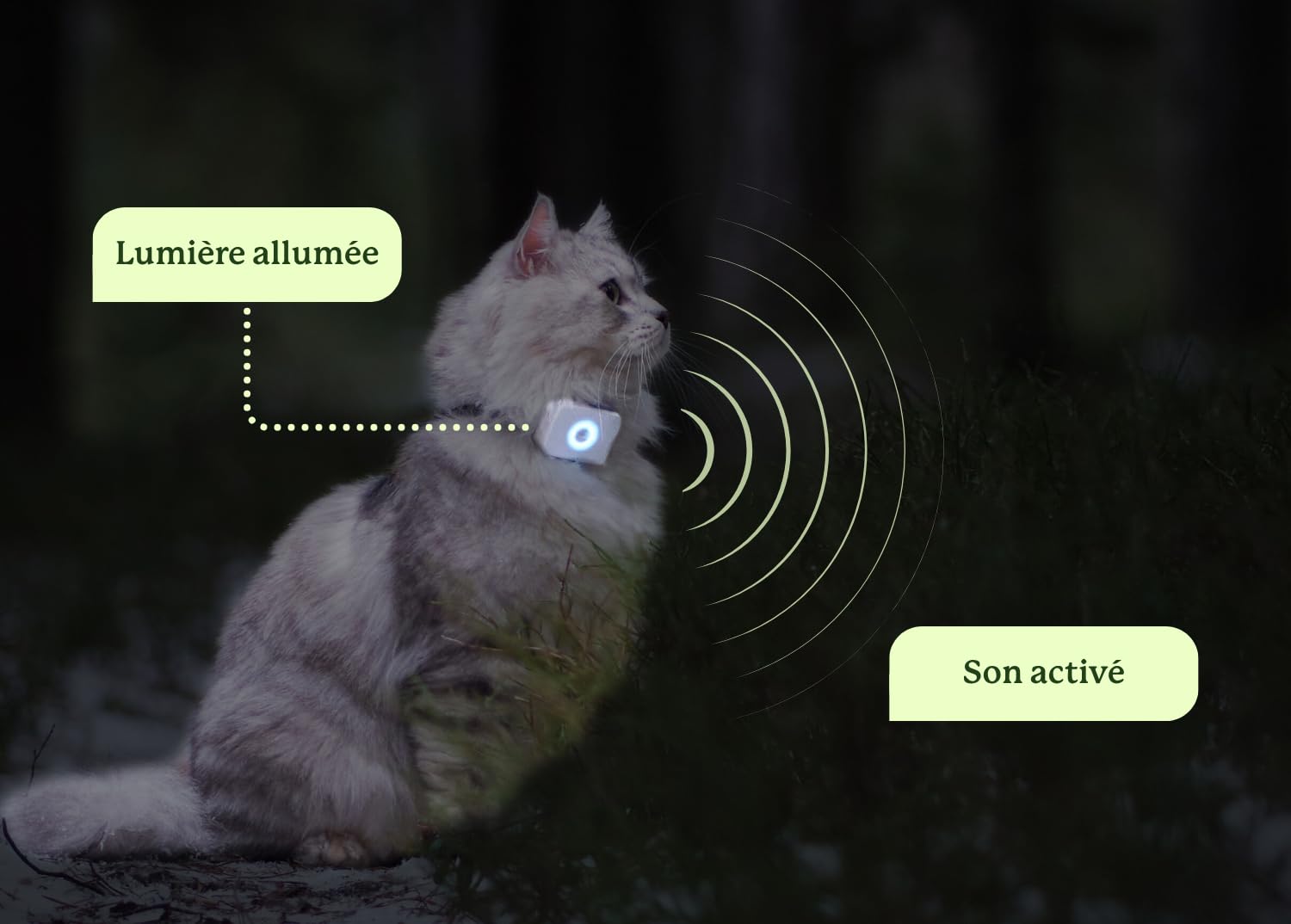 Lilcat 2 GPS et Tracker d'activité pour Chats | Imperméable, léger, résistant aux Chocs | Suivi GPS en Direct et Historique de localisation | Compteur de Pas et Moniteur d'activité | Fabriqué en