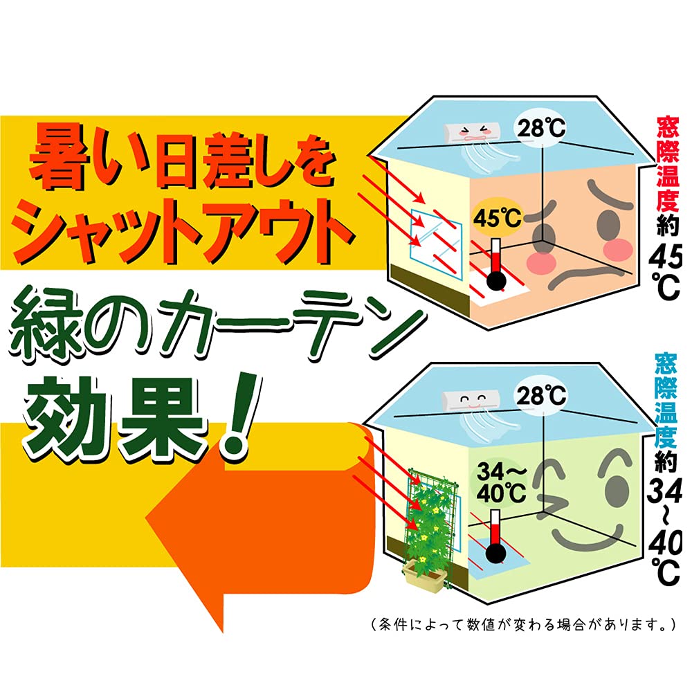 First Vinyl Side Rope Green Curtain with Net 0.8mx5 m