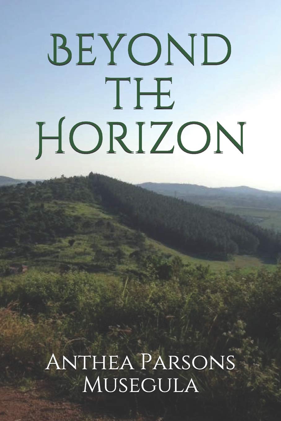 Beyond the Horizon