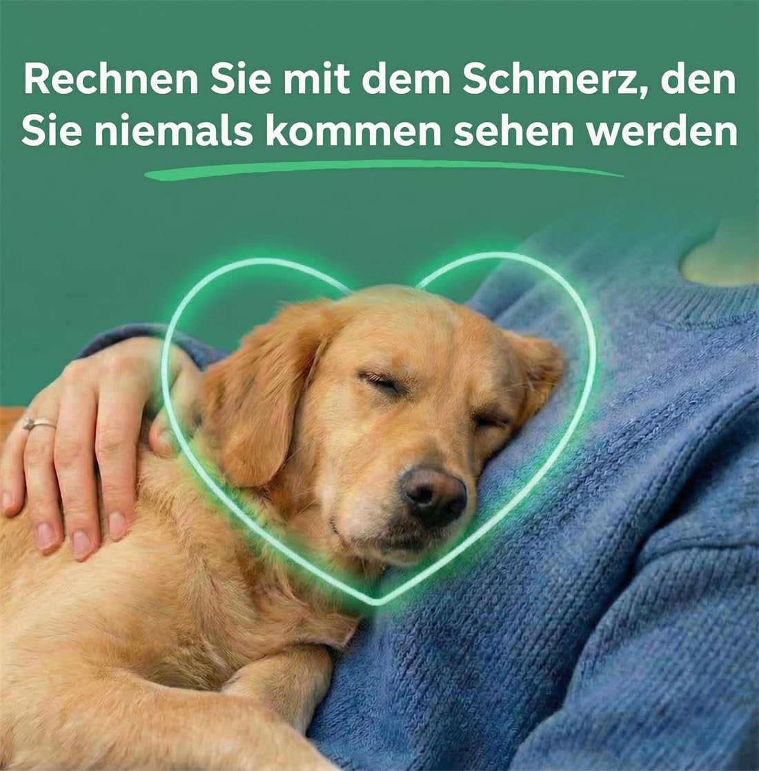 Premium Flüssiges Kollagen für Hunde – Gelenke, Haut & Fell – Mit MSM, Biotin & Ingwer – 100% natürliche Zutaten, hohe Bioverfügbarkeit