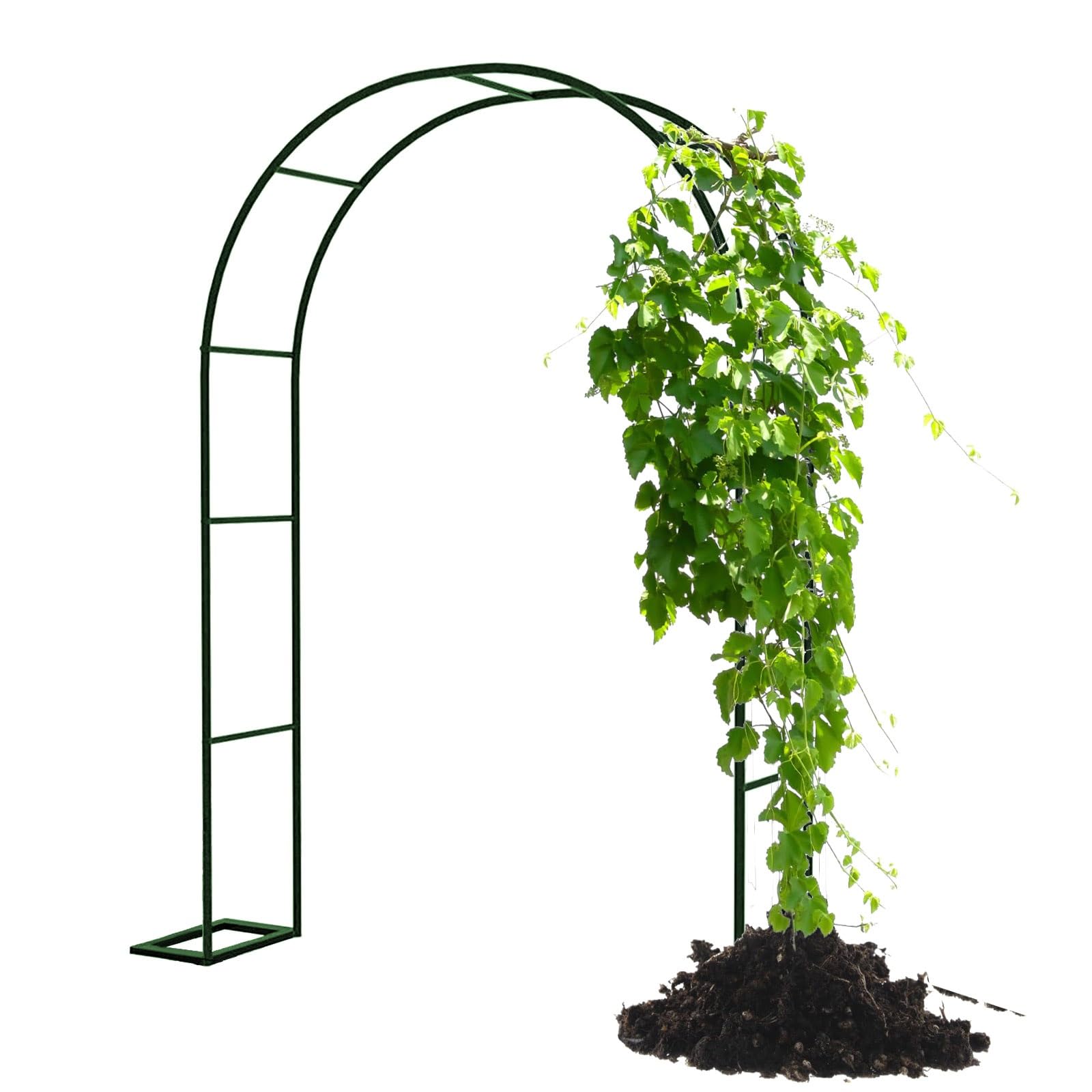 Arco da giardino in metallo, traliccio per piante rampicanti, supporto in ferro per esterni per viti e fiori, 160 x 40 x 220 cm, arco decorativo per matrimoni