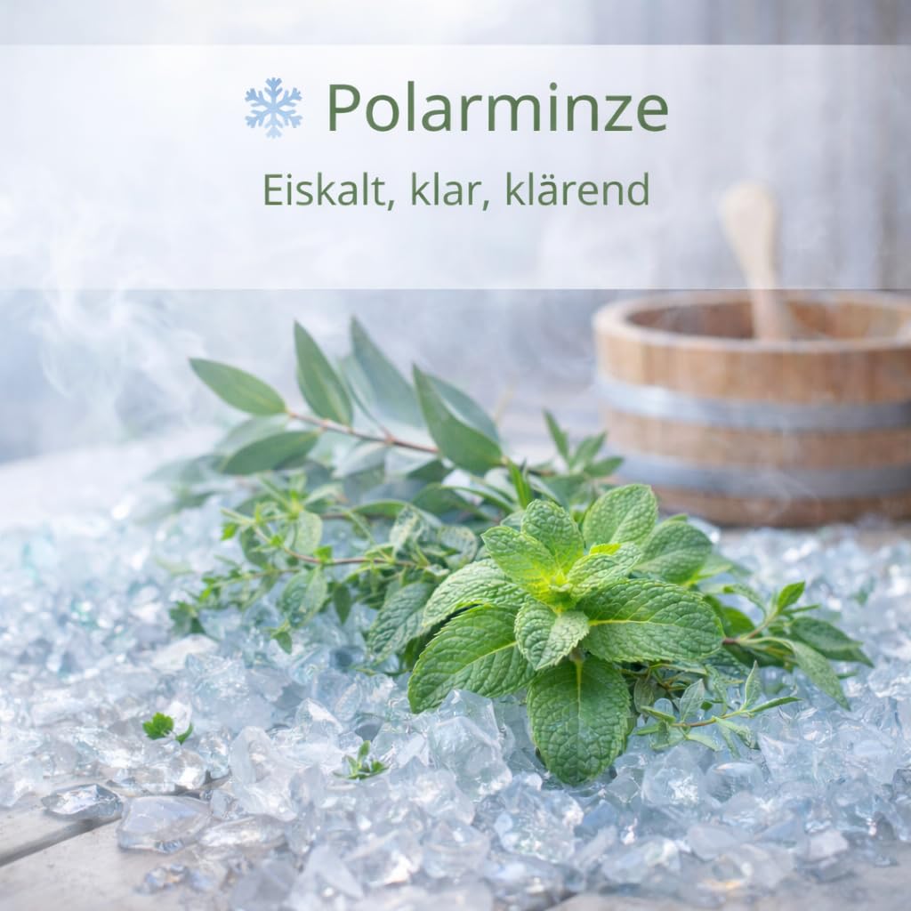Dufte Momente Saunaaufguss-Konzentrat Polarminze (Eukalyptus, Menthol & Minze) – 3 Liter – kühl & klar – konzentriert & ergiebig – Profi-Qualität gemäß DVN:5204 getestet – vegan & Made in Germany