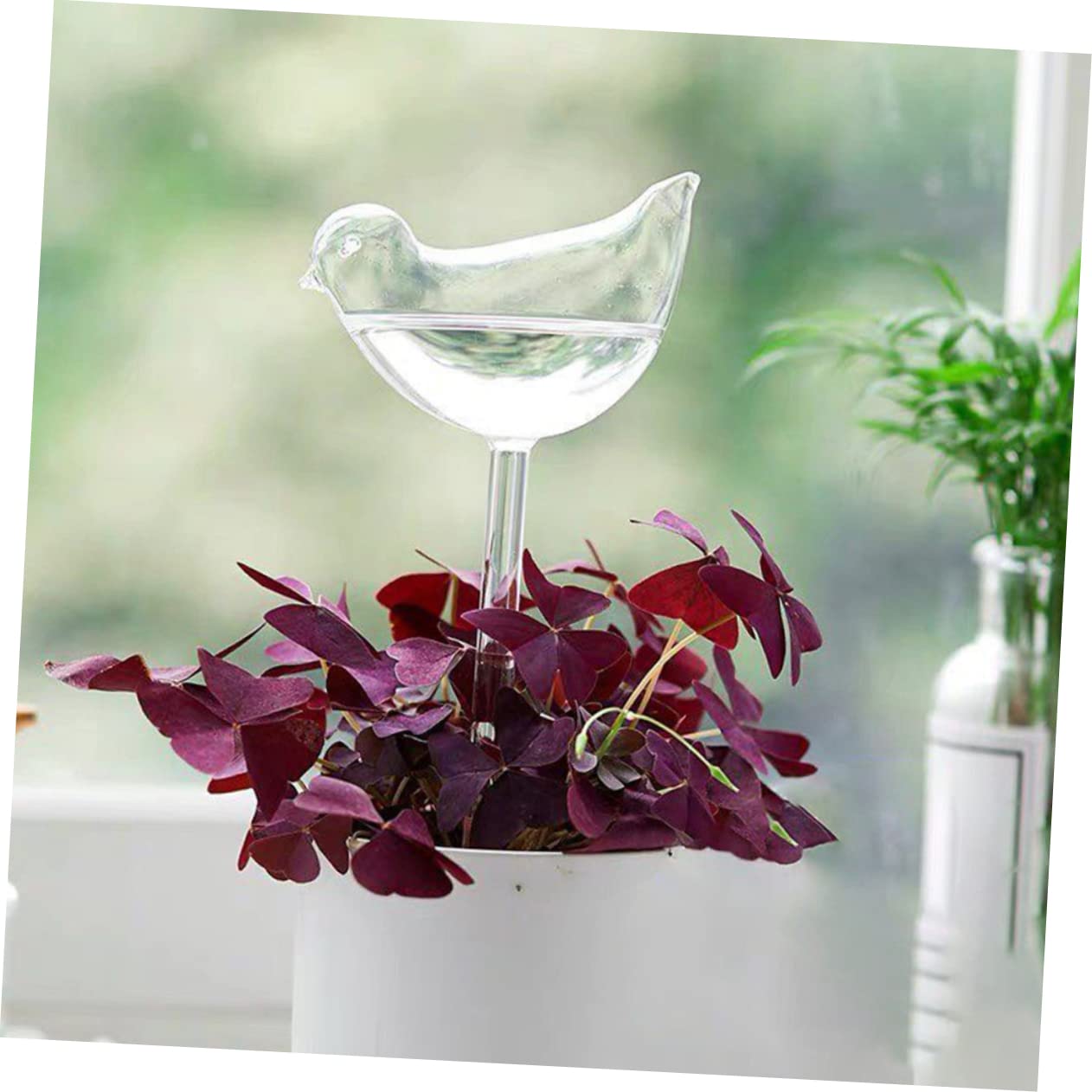 Hemobllo Irrigatore per Piante 4 Pezzi in Vetro Borosilicato Autoirrigante | Trasparente, Uso Semplice per Viaggi e Festival, Confezione Schiuma e Scatola di Carta