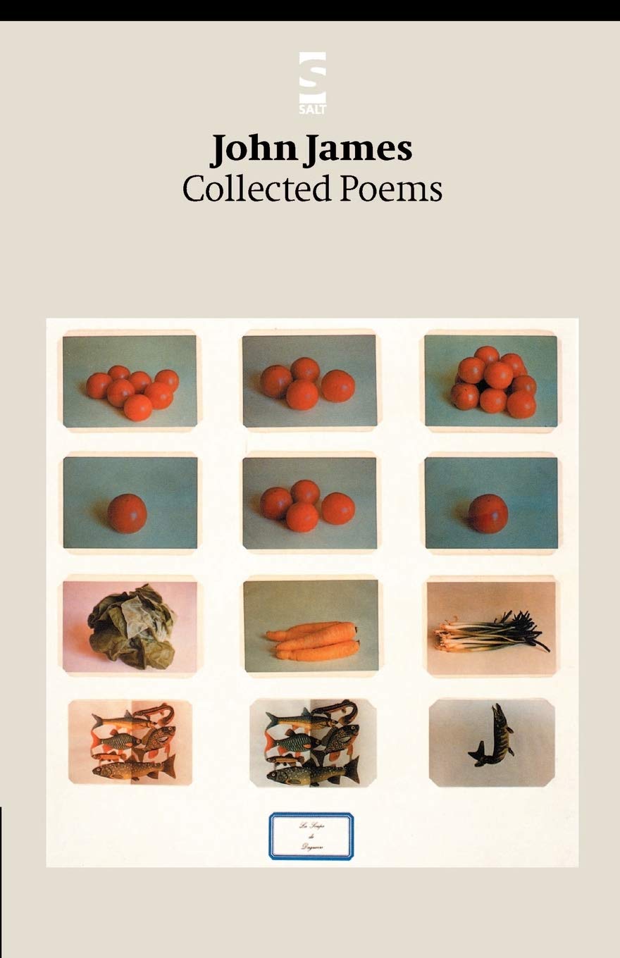 Collected Poems (Salt Modern Poets)