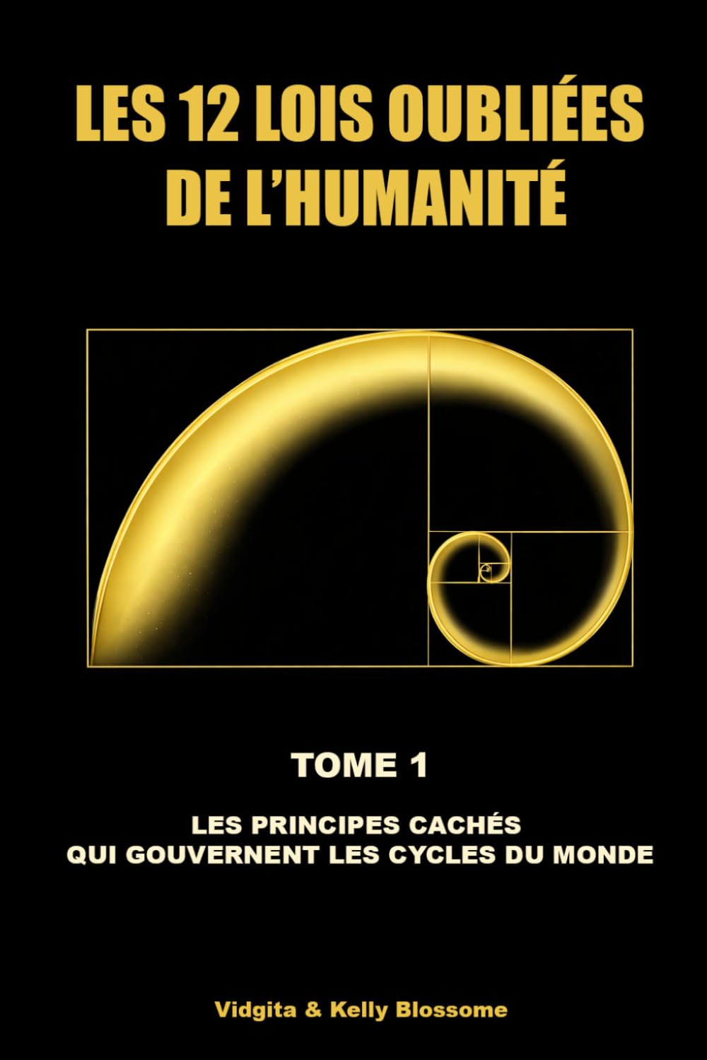 LES 12 LOIS OUBLIÉES DE L’HUMANITÉ: LES PRINCIPES CACHÉS QUI GOUVERNENT LES CYCLES DU MONDE (LE GRAND PUZZLE COSMIQUE)