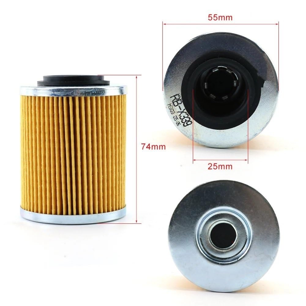 filtro de aceite del motor Kit de filtros de aceite (10/20 unidades, 420256188, 420650500, 420956124, 293300086), compatible con DS650 RB-X3339, protege la caja de cambios.(10PCS)