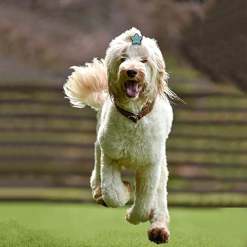 Miniatura 2 de 10 pinzas para el pelo de perro, lazos para el pelo de perros pequeños, lindos accesorios de aseo para el cabello de las niñas, cachorros, pasadores