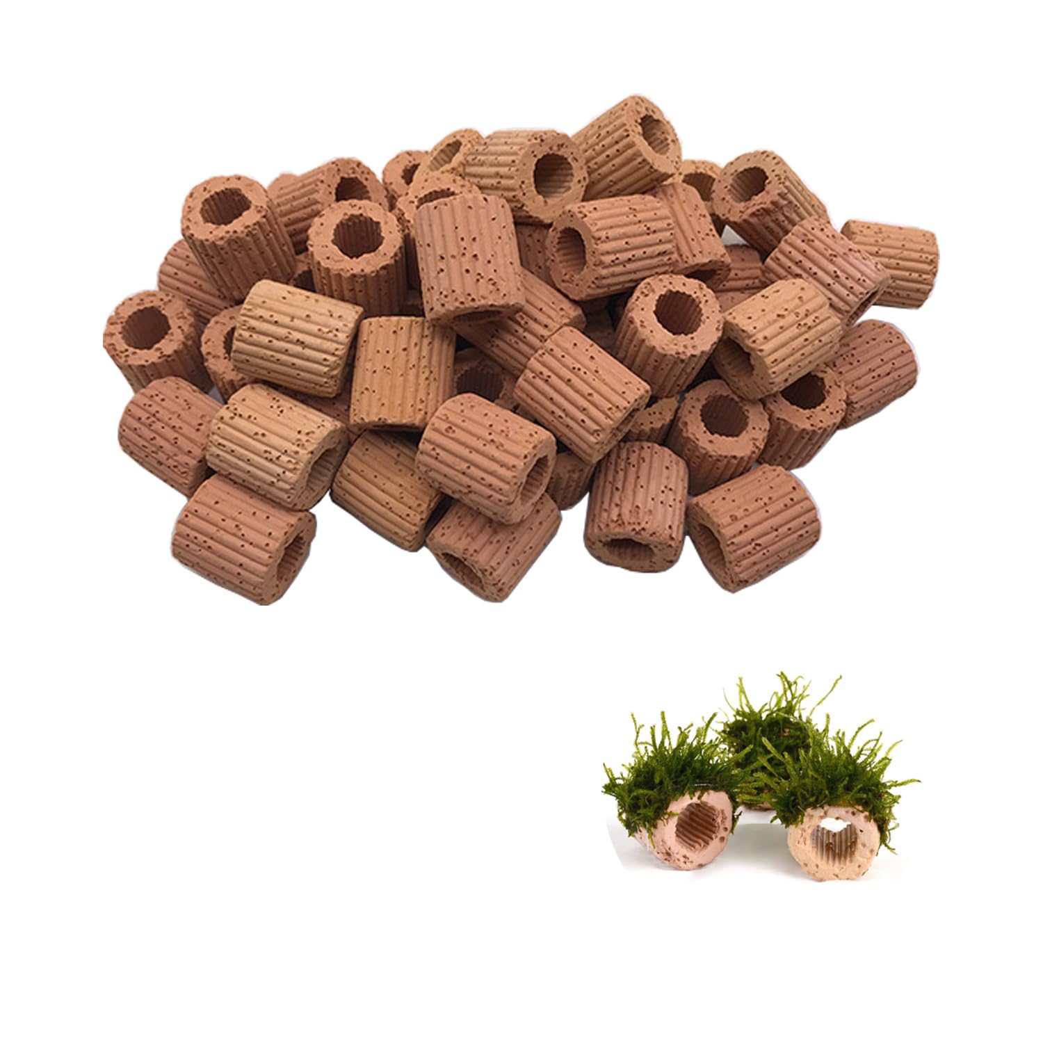 Wzttdm 20 Pcs Aquatic Water Plant Fixed Rings, Aquarium Landscape Ceramic Pottery Plant Pot Gravity Ring for Fish Tank Accessories