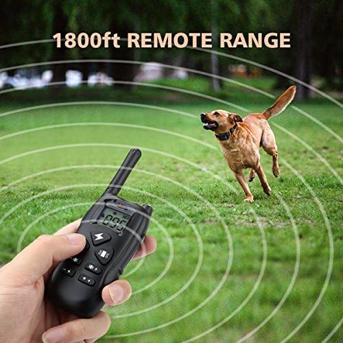 mothca dog training collar