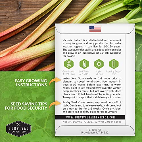 Survival-Garden-Seeds-Victoria-Rhubarb-Seed-for-Planting-Packet-with-Instructions-to-Plant-and-Grow-Delicious-and-Tangy-Red-Stalks-in-Your-Home-Vegetable-Garden-Non-GMO-Heirloom-Variety Survival-Garden-Seeds-Victoria-Rhubarb-Seed-for-Planting-Packet-with-Instructions-to-Plant-and-Grow-Delicious-and-Tangy-Red-Stalks-in-Your-Home-Vegetable-Garden-Non-GMO-Heirloom-Variety