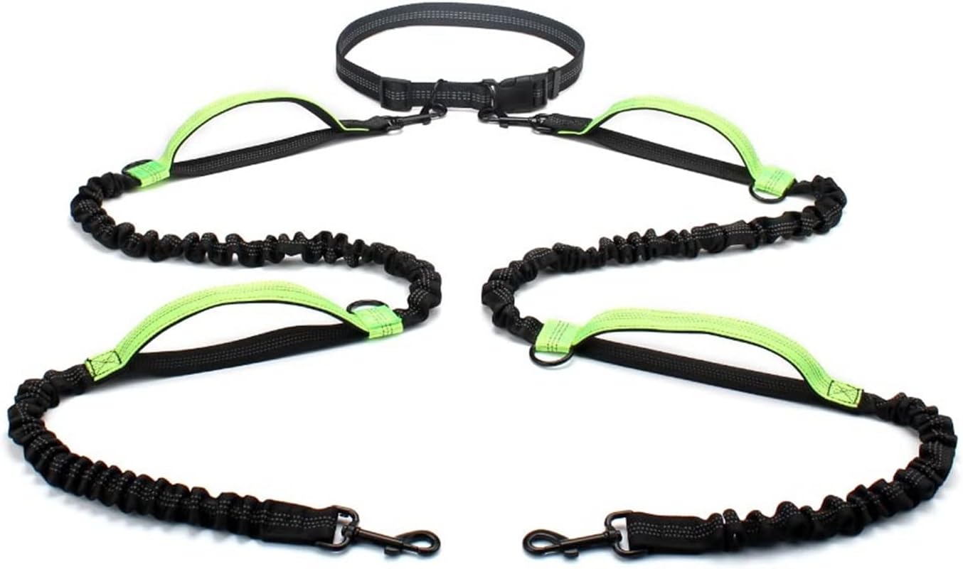 LESANGBAIHUODIAN Hands Free 2 Dog Leashes Bungee Retractable Dog Running Waist Leash Fit for Walking Jogging Training Hiking Fit for Large Dogs Supplies (Color : Green-Padded Handle)