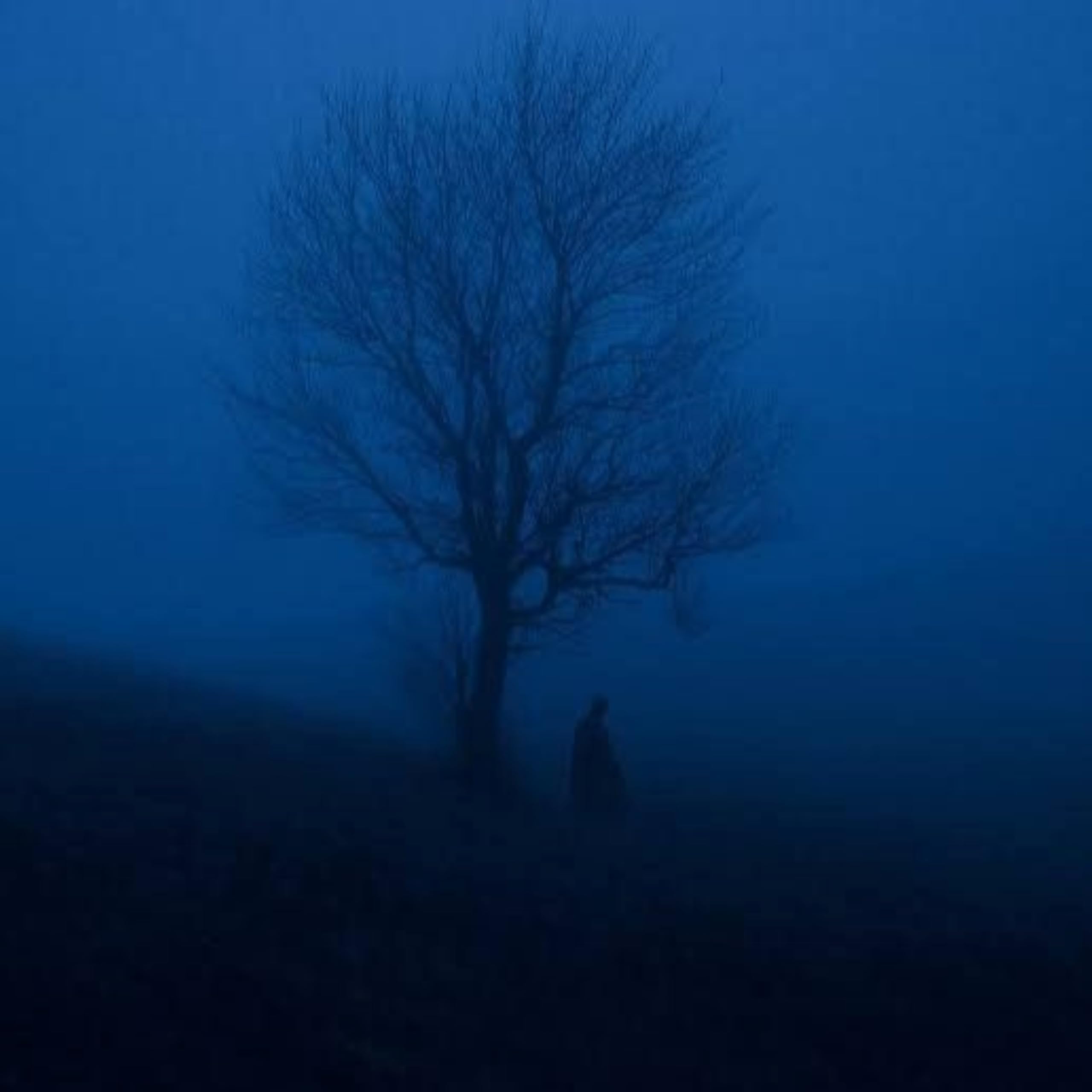 The Middle of Nowhere