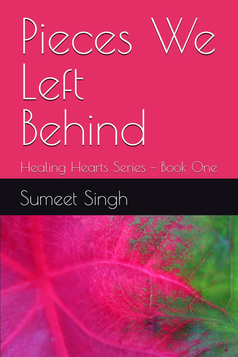 Pieces We Left Behind: Healing Hearts Series – Book One