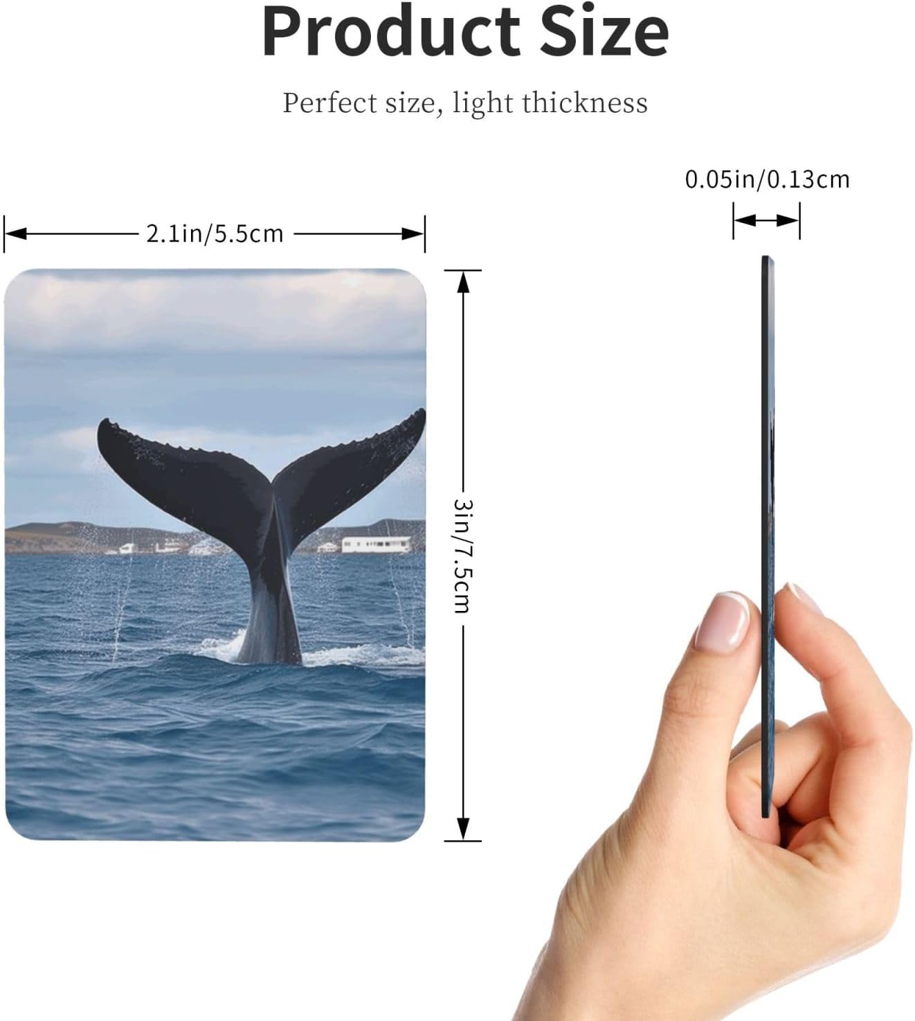 Fridge Magnets Waterproof Heavy Duty Small Magnets for Fridge Whale Tail Refrigerator Magnets Mini Round Cute Decorative Magnets for Crafts Home Kitchen Office Whiteboard Decor image 3