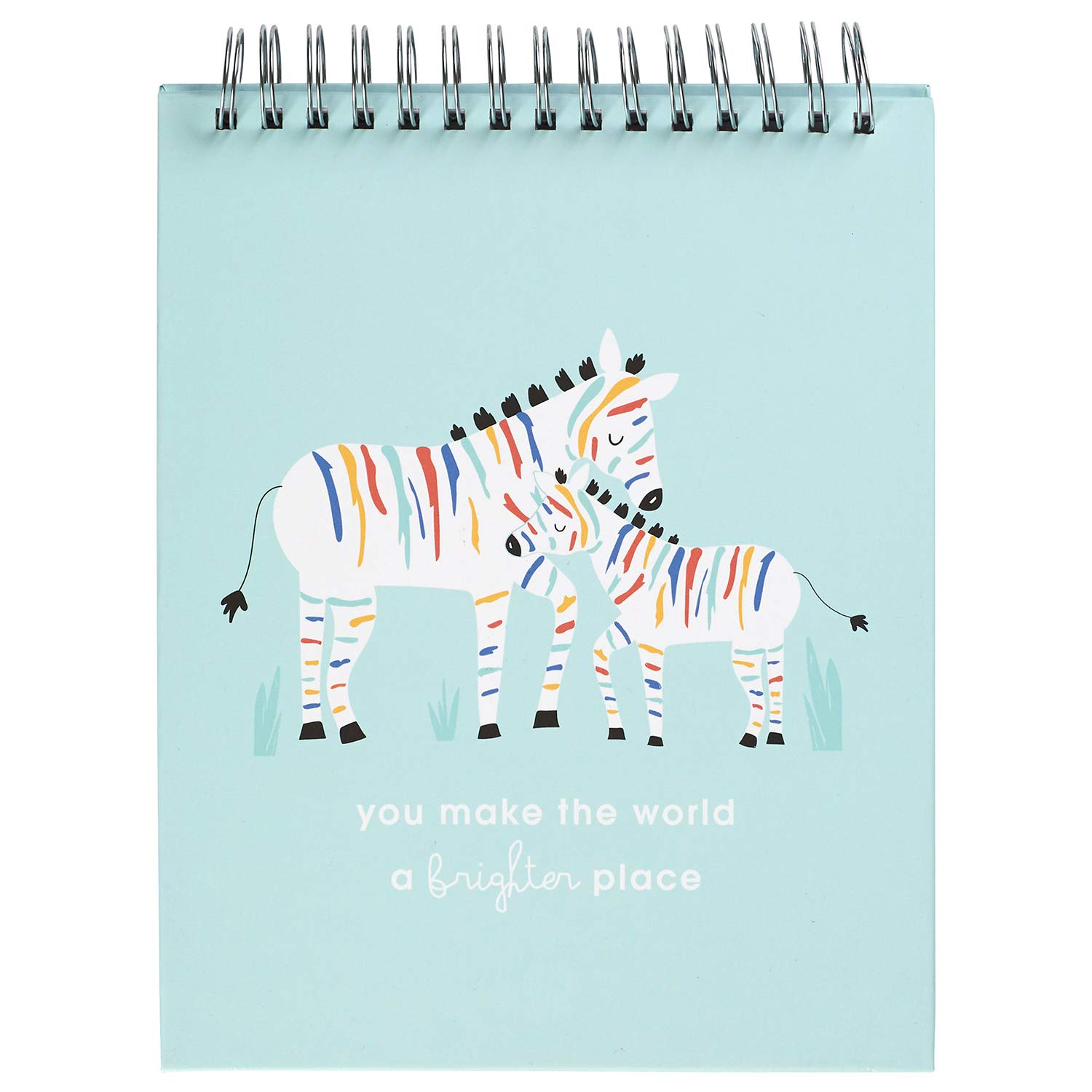 C.R. Gibson „You Make The World a Brighter Place“ Regenbogen-Zebra-Baby-Meilensteinkarten, Foto-Requisite, Flipbook, 21,6 x 26,7 cm