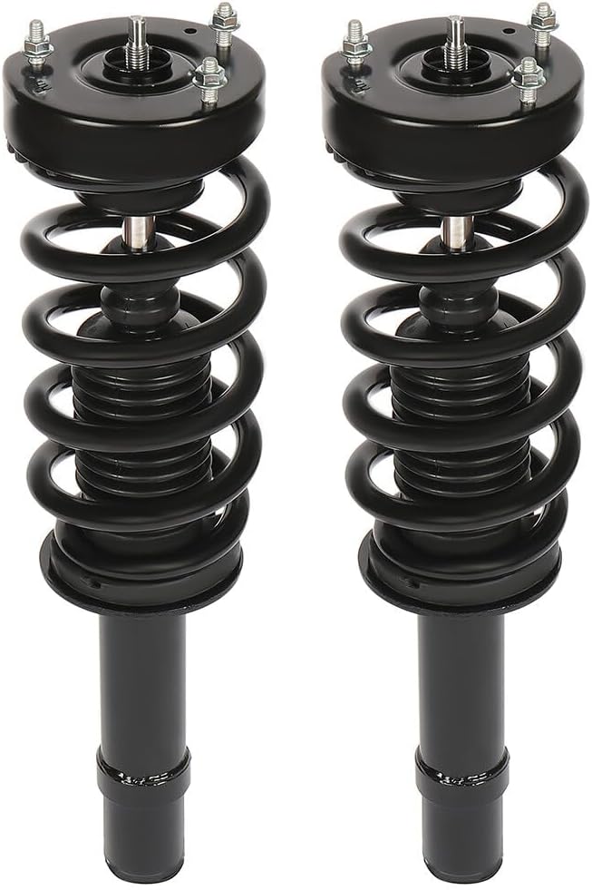 SCITOO Front Shock Absorber Assembly Fit for 2012-2018 for Chrysler 300, 2012-2018 for Dodge Charger, Complete Shock and Strut Assembly Kit Fit for 172899L 172899R 2PCS