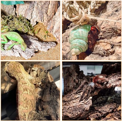 BNOSDM Reptile Terrarium Bark Substrate Bedding Tortoise Natural Cork Bark Reptile Climbing Mat Habitat Decor for Lizard Snake Spiders Hermit Crabs Tarantula Geckos Bearded Dragons - Image 5