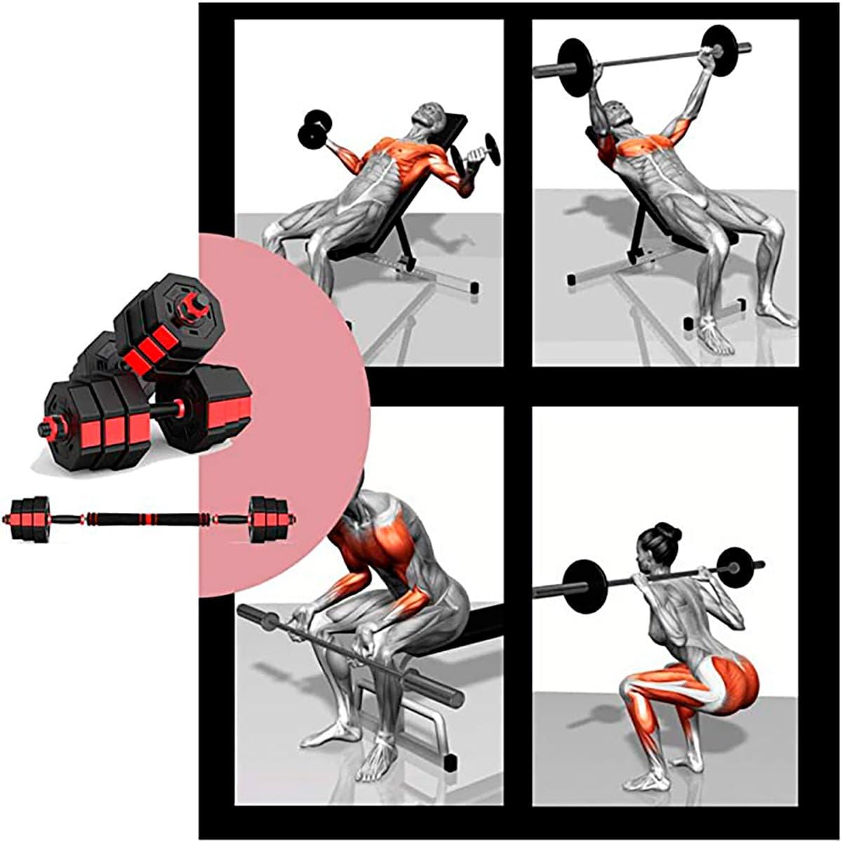 Juego de Mancuernas 2 en 1 Octogonal de 50 Kg, Set de 2 Unidades, Juego de Pesas con Barra, Alta Resistencia, Antivuelco, Entrenamiento Completo