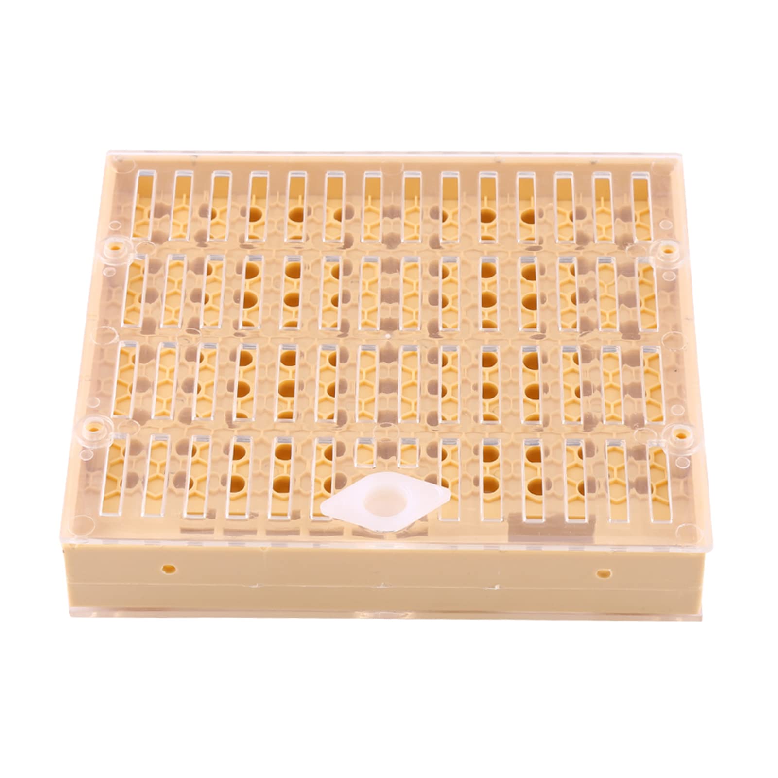 Nicot Queen Elevage Cell Bar Blocks Plastique Apiculture Queen Elevage Cups Box Cell Bar Blocks Hair Roller Cages Bee Keeper Equipment