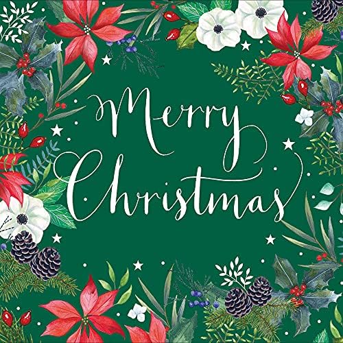 Pack of 5 Xmas Robin Charity Christmas Cards Supporting Multiple Charities 493119 Amazon.co.uk