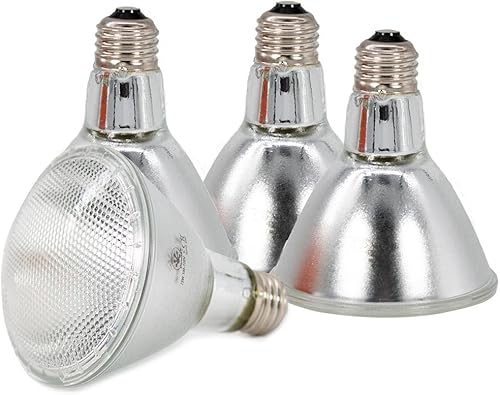 Pangea Lámpara de calor halógena (paquete de 4) para reptiles (50 vatios)