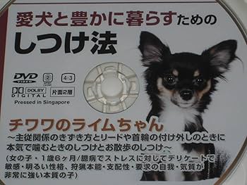 愛犬と豊かに暮らすためのしつけ法 DVD 13巻セット Amazon.co.jp: 愛犬と豊かに暮らすためのしつけ法 森田誠の犬の