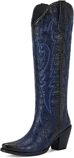 wetkiss Women's Cowboy Knee High Boots, Snip Toe, Vintage, Wing Embroidery