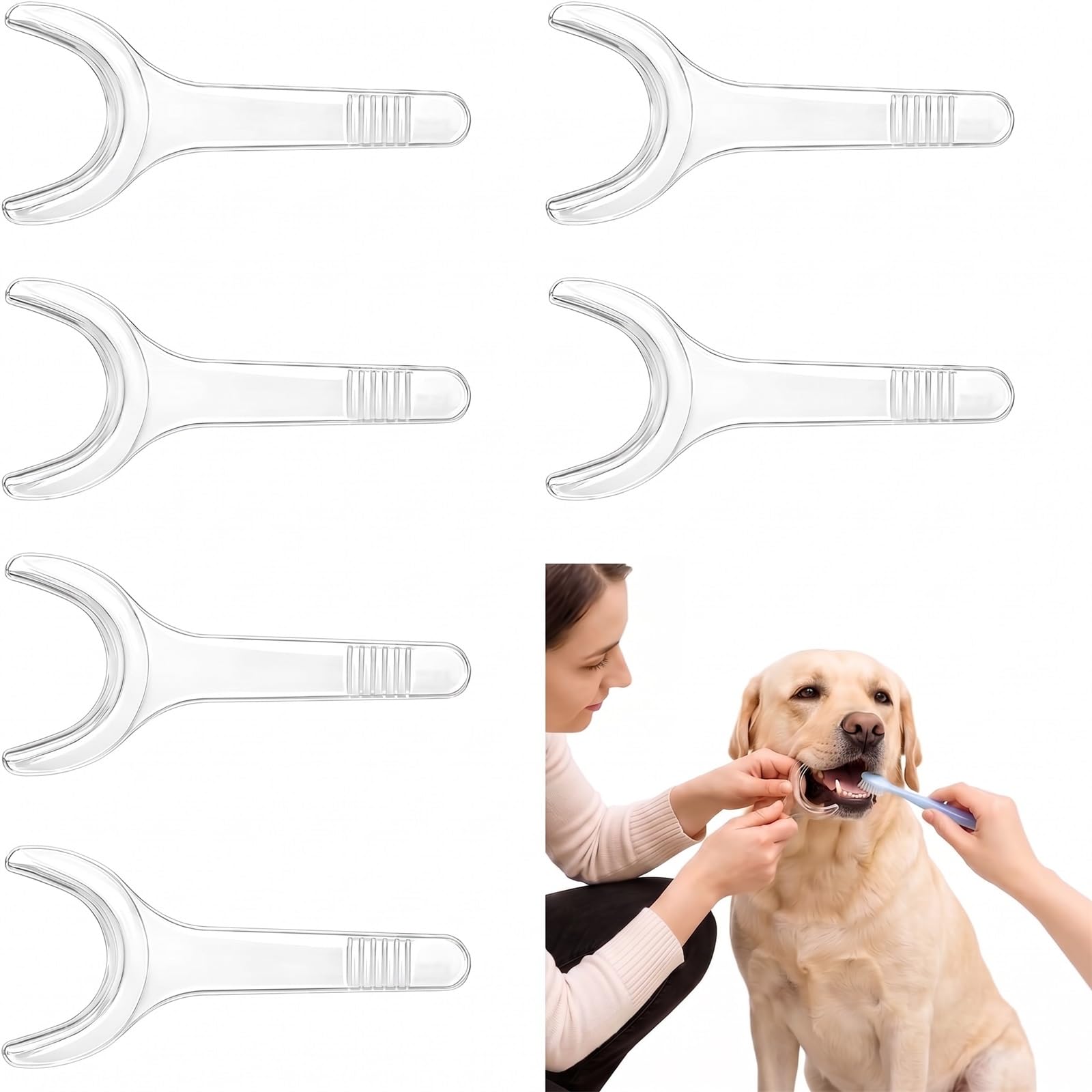 Pet Tooth Brushing Helper for Dogs & Cats，Large