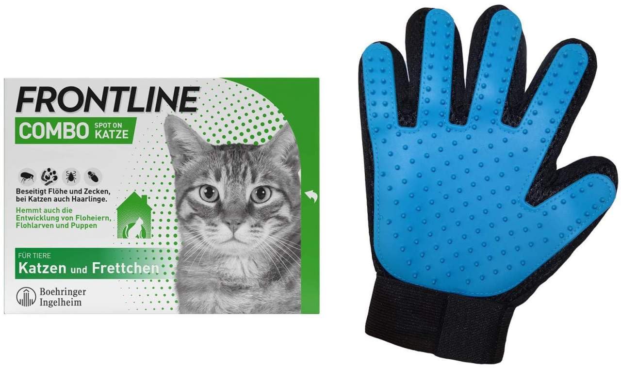 Frontline Combo Spot on Katze 6 Pipette + gratis Fellhandschuh