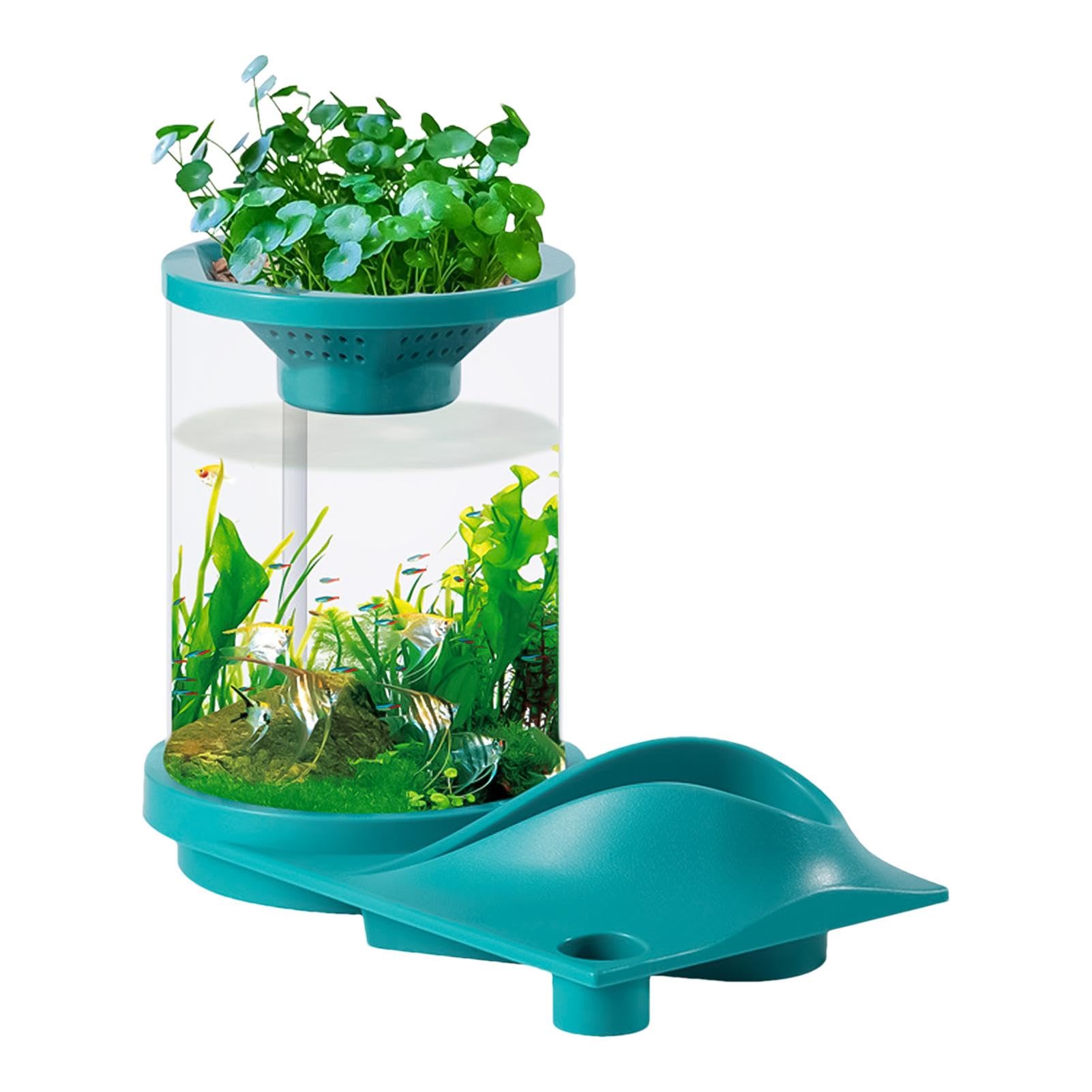 Aquarium silencieux Betta à faible entretien et filtration naturelle