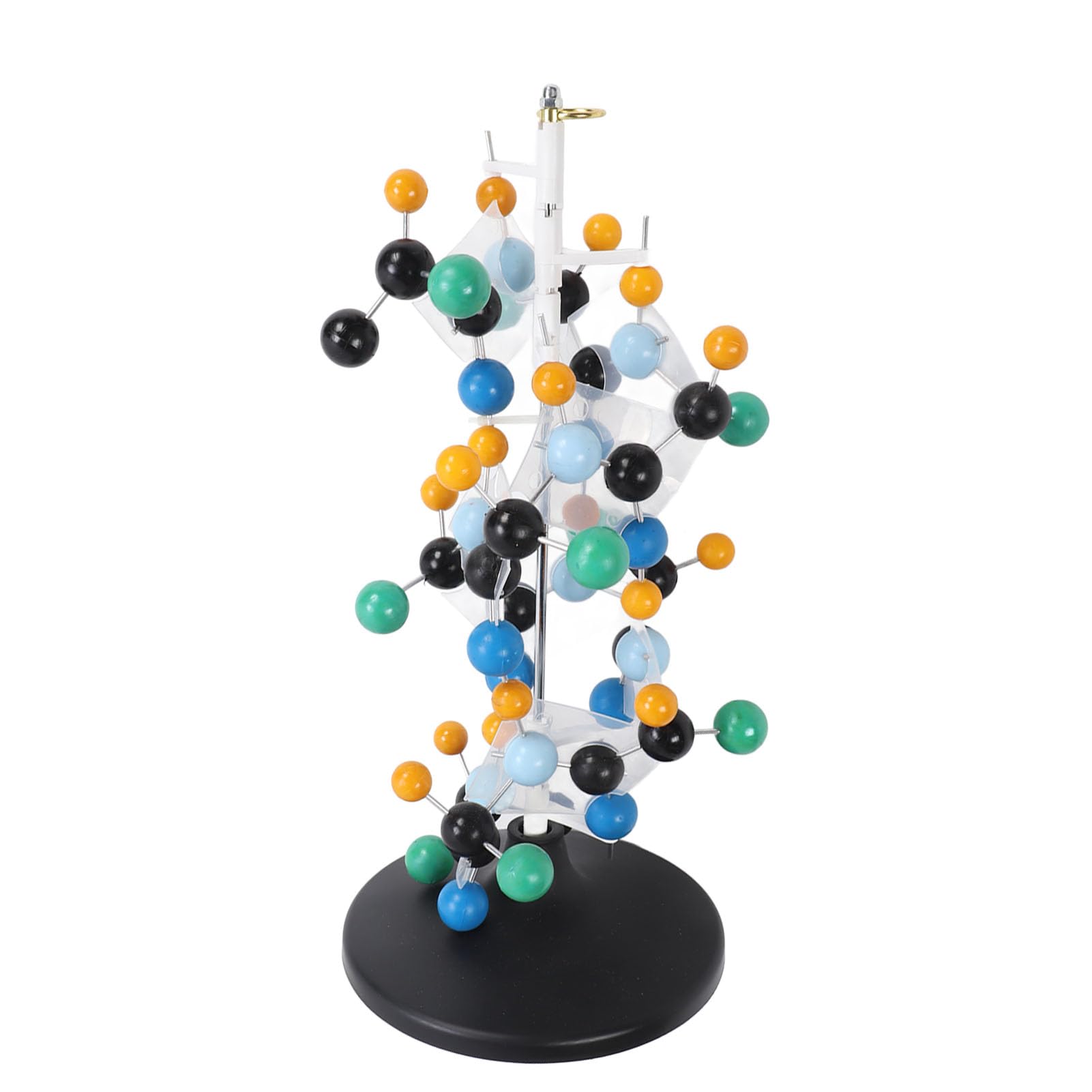 Equipo de Modelo Molecular de Proteína, Plástico Escolar para Profesores, Profesores, Profesores, Profesores, Animales Modelo