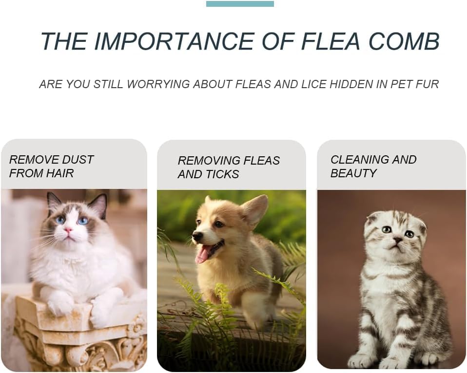 Läusekamm, 4 Stück Flohkamm, Plastik Doppelseitig Nissenkamm, Haustierkamm, Feinzahniger Kopflauskamm, Katzen und Hundepflegekamm, zum Entfernen von Floh und Läusen