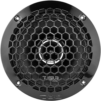 Amazon.com: DS18 PRO-ZT6 6.5