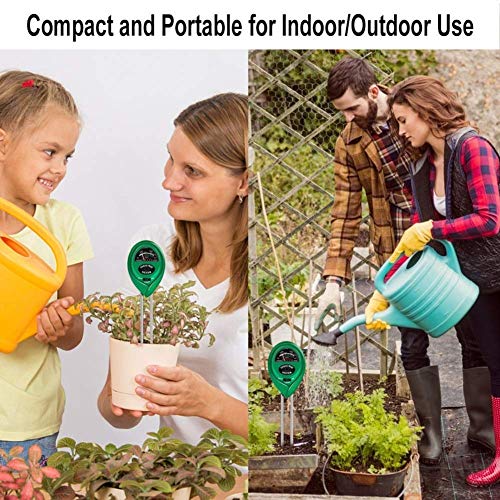 Mr. Twinklelight® - Luci solari per esterni a