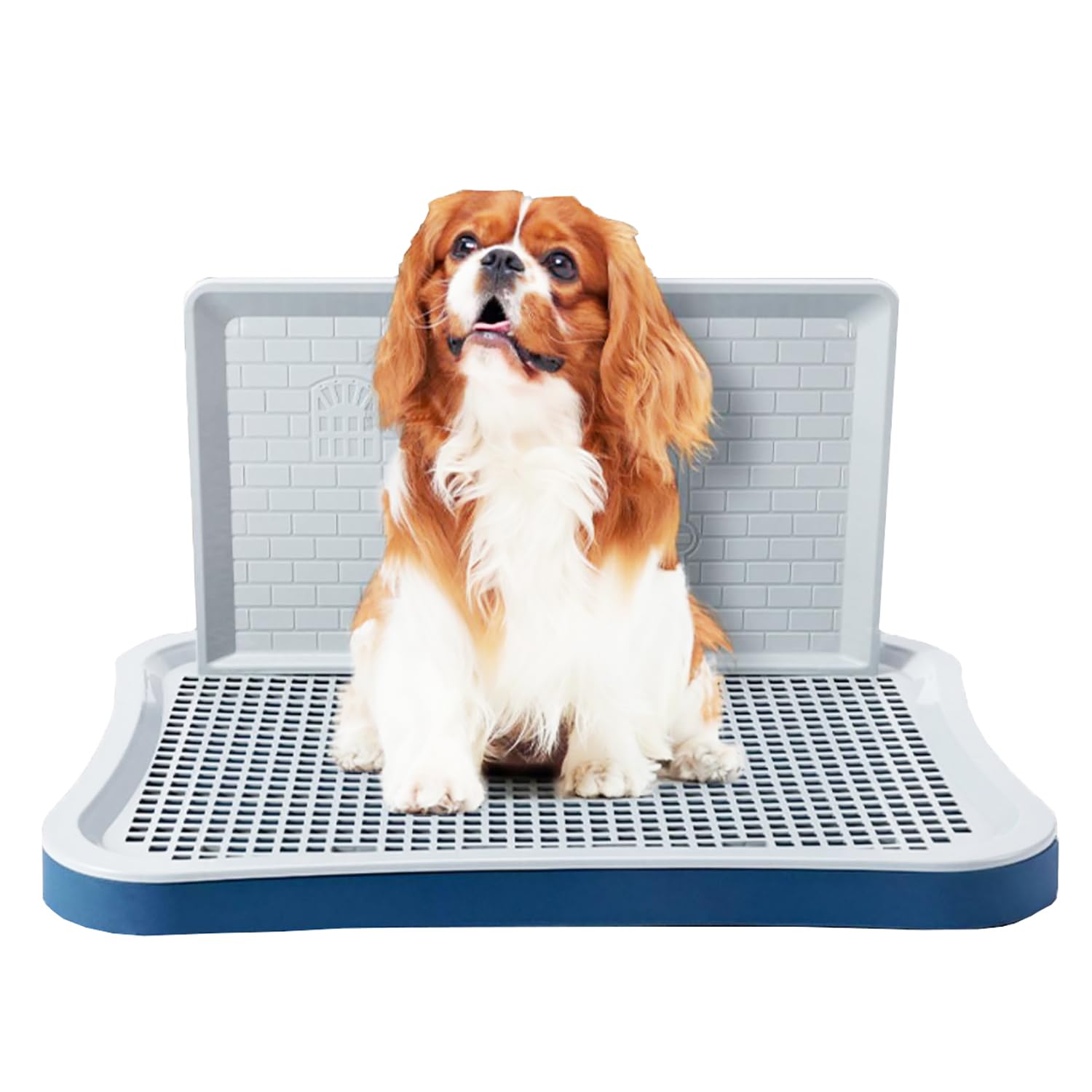 Dog Potty Training Toilet, Puppy Pad Holder with Wall Column, Portable, Mesh Training Potty for Large Small, Medium Pets