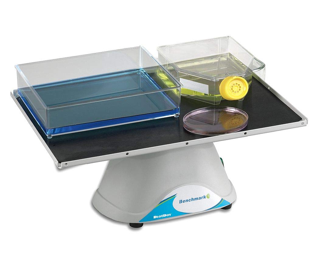 Benchmark Scientific B3D1308 BlotBoy 3D Rocker, Fixed Speed, 12