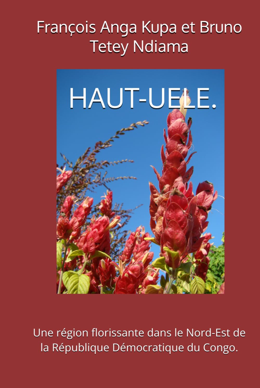 HAUT-UELE : UNE REGION FLORISSANTE DANS LE NORD-EST DE LA REPUBLIQUE DEMOCRATIQUE DU CONGO
