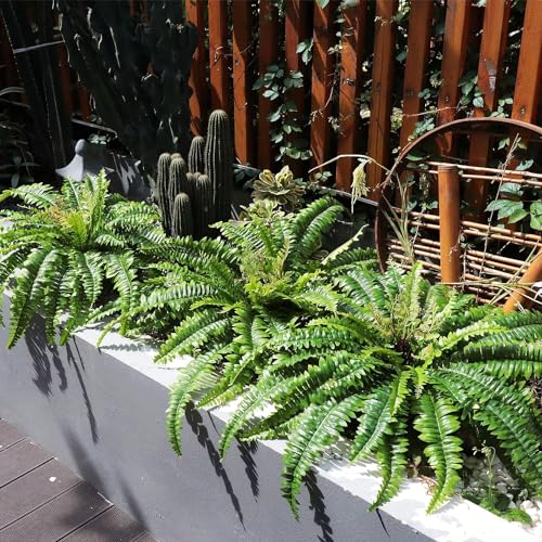 Galebeiren Artificial Ferns for Outdoors & Indoors, 40in Large Faux Ferns 39 Fronds Fake Boston Fern Plant for Planter Garden Porch Entrance Home Windowsill Yards Farmhouse Decoraction (2 Stem)
