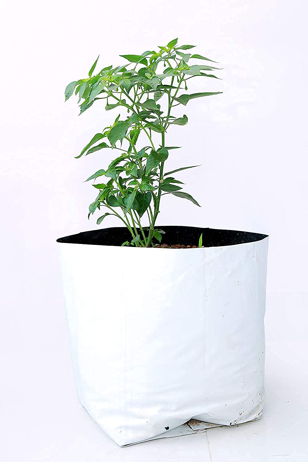 KURUPPATH Group White Plant Grow Bag UV STABLIZED 24x24x40 - Pack of 60 (B08Q3C9QHR) Amazon Price History, Amazon Price Tracker