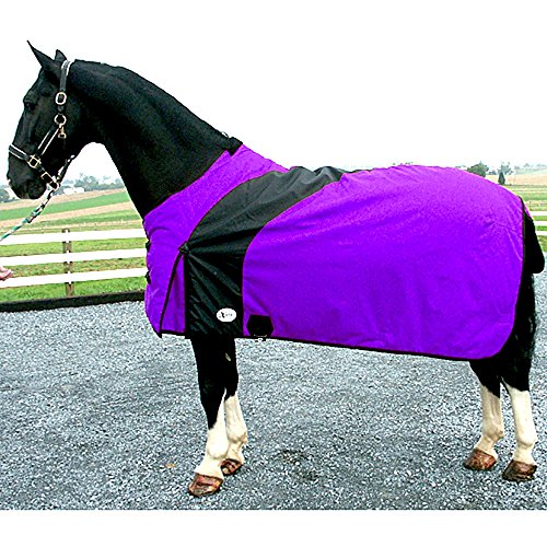 Intrepid International Prima Medium Weight Turnout Blanket, 71-Inch, Purple