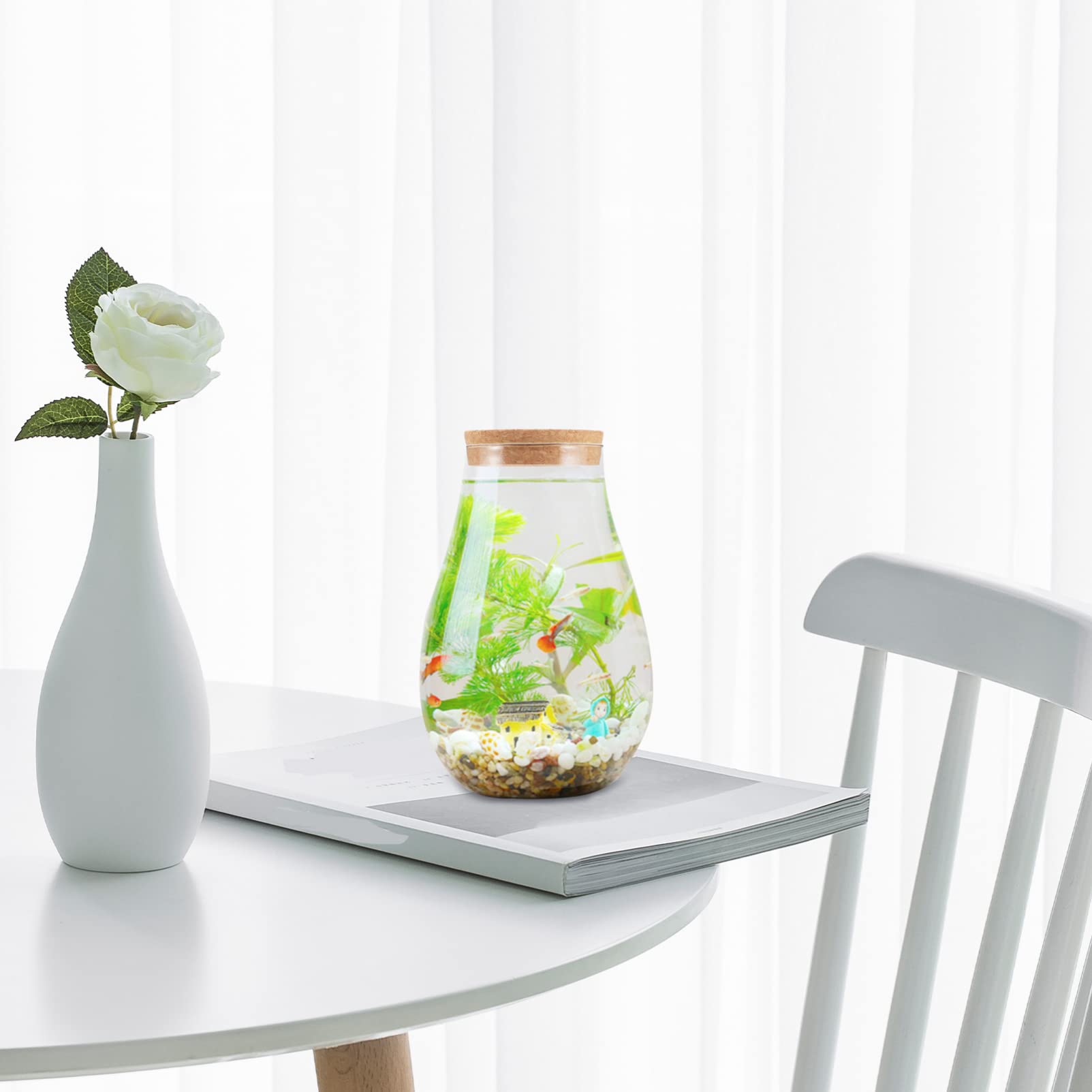TOPBATHY Vaso Idroponico In Vetro Trasparente Con Tappo In Sughero - Forma Cilindrica Per Terrario E Piante Da Interno - Decorazione Casa/Ufficio - 4