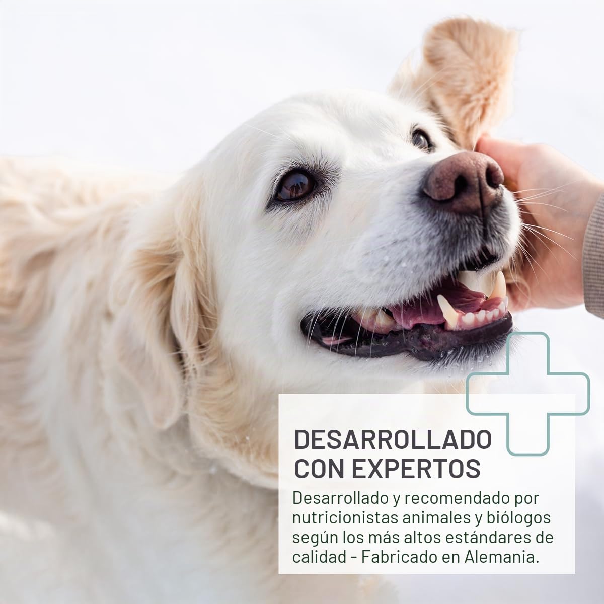 ReaVET Polvo de Cáscara de Huevo para Perro y Gato 500g – Fuente Natural de Calcio para Huesos y Dientes Saludables, Polvo de Cáscara de Huevo para Perros y Gatos, Suplemento Barf