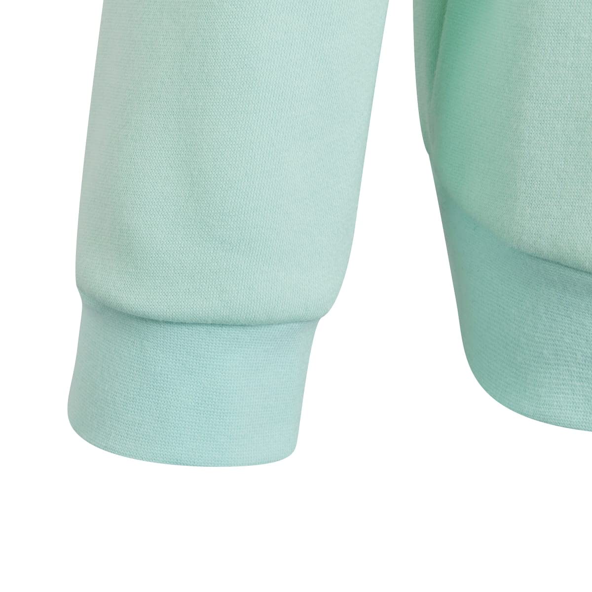 adidas Uniseks - dzieci Entrada 22 Sweat Top, Clear Mint, 11-12 Years