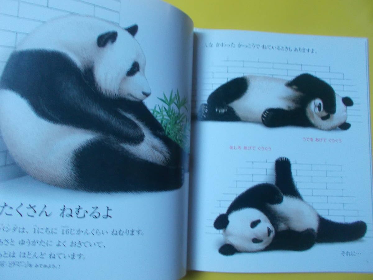 Amazon.co.jp: 【しぜん パンダ】平成15年12月/増井光子：指導