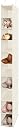 closet shoe rack hanging Top3商品