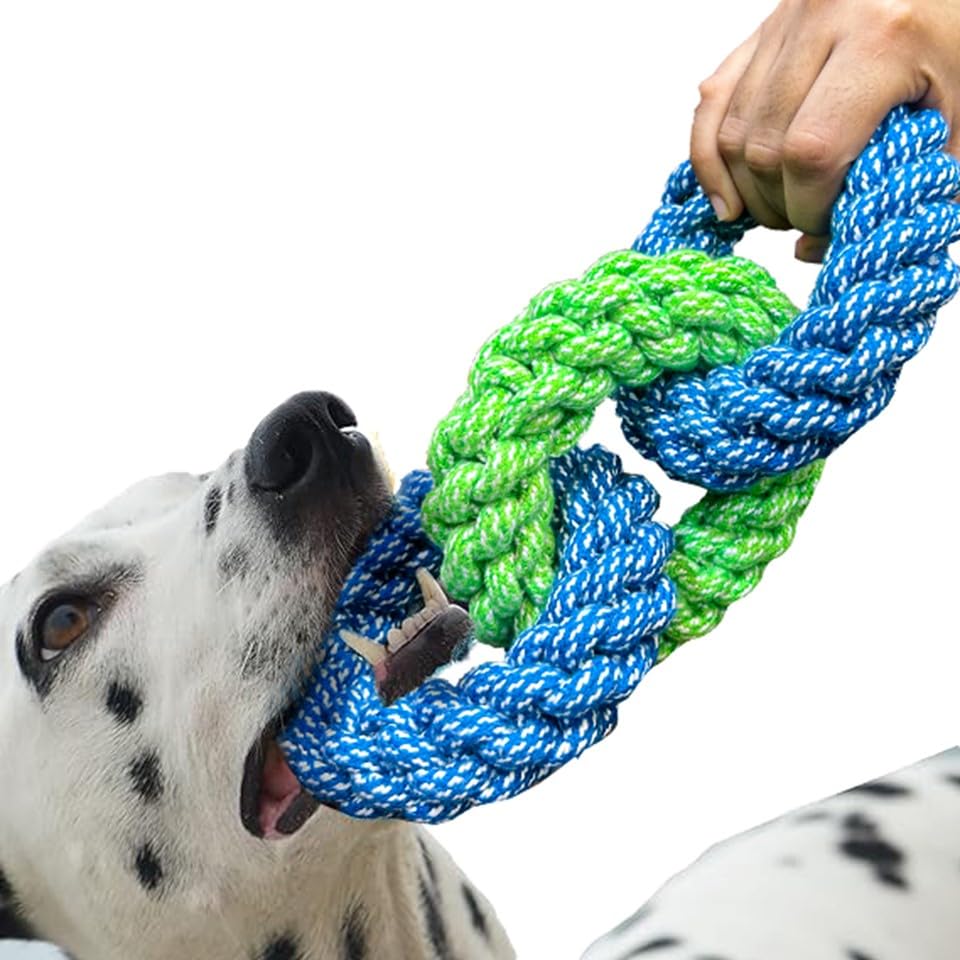 Attractive Dog Toys for Large Dogs & Accessories Toy for Puppies, Pets, Puppy, Medium & Adults, chew Rope Small pups for Playing & Chewing for Labrador Combo(3 Rings) (Pastel Blue/Green)